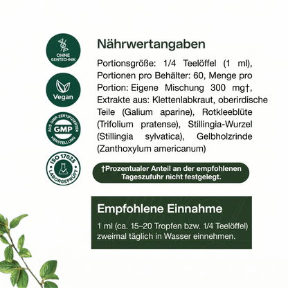 Lymphsupport Wellness Tropfen